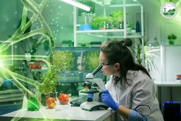 vai-tro-nganh-cong-nghe-sinh-hoc-trong-nong-nghiep.webp