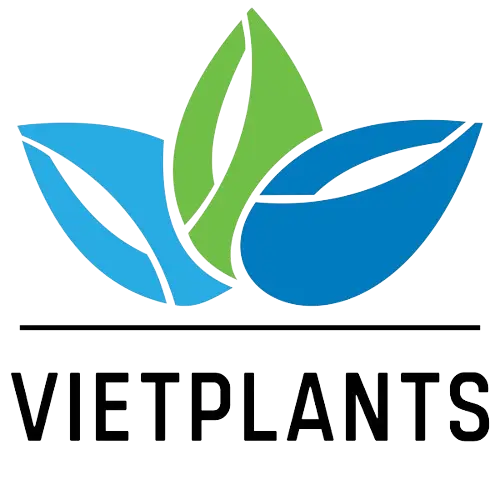 Vietplants Tuyển dụng