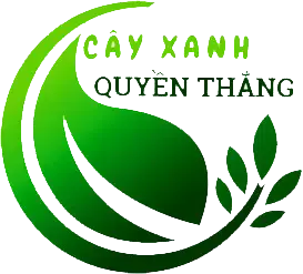 Công ty Kiến Trúc Và Cảnh Quan Cây Xanh Quyền Thắng tuyển dụng
