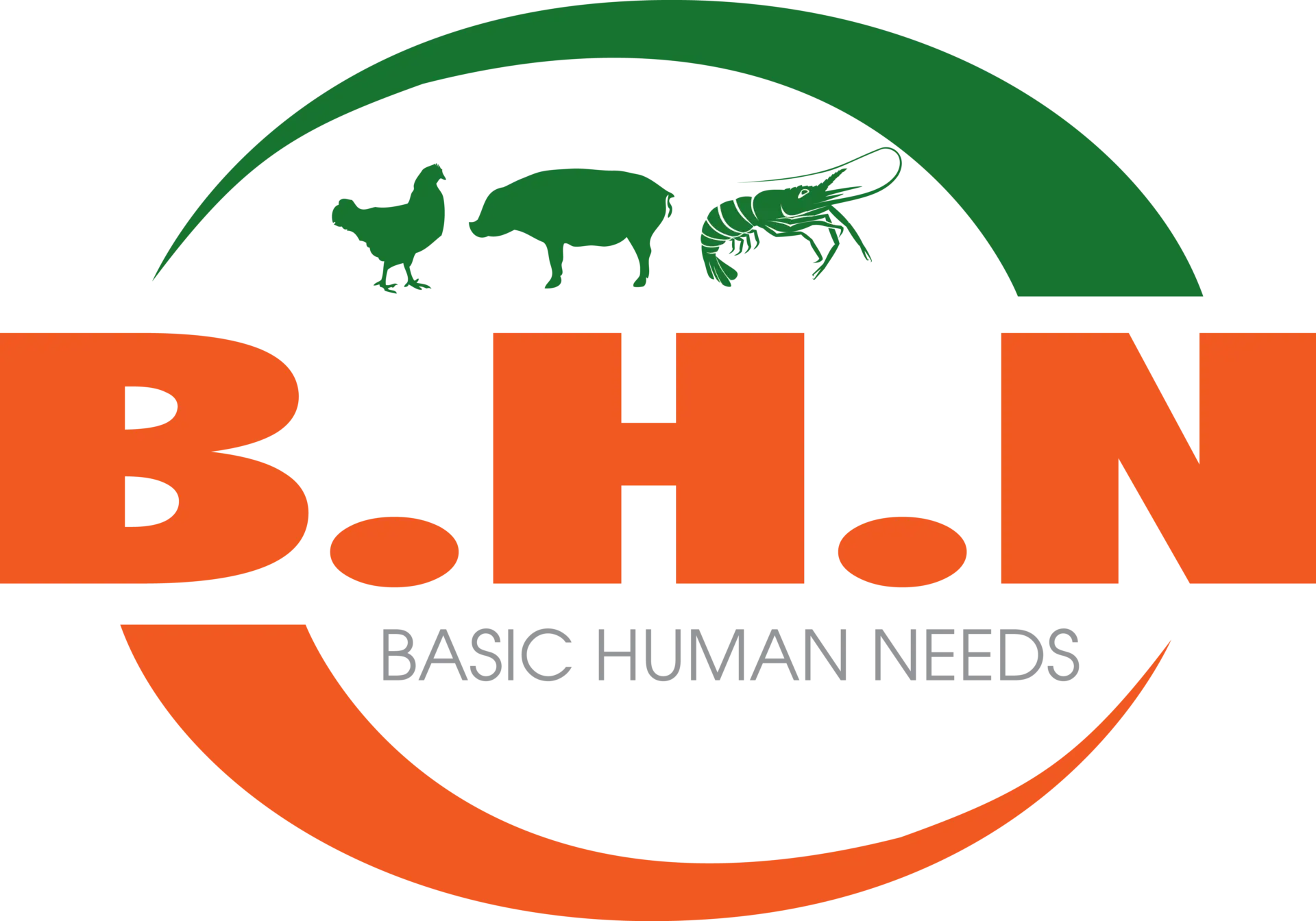 CÔNG TY TNHH BHN tuyển dụng