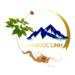 Sâm Ngọc Linh Long Tran Panax tuyển dụng