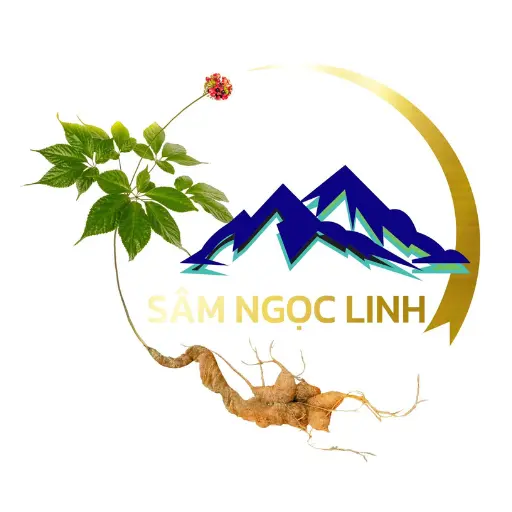 Sâm Ngọc Linh Long Tran Panax tuyển dụng