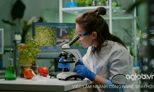 Việc làm ngành công nghệ sinh học có khó tìm kiếm không?
