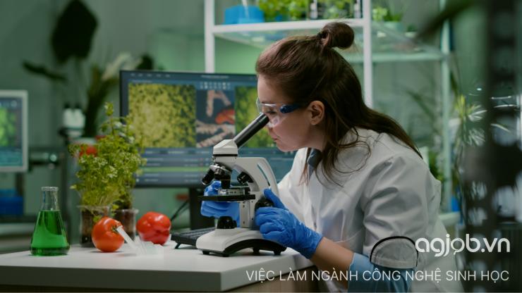 Việc làm ngành công nghệ sinh học có khó tìm kiếm không?