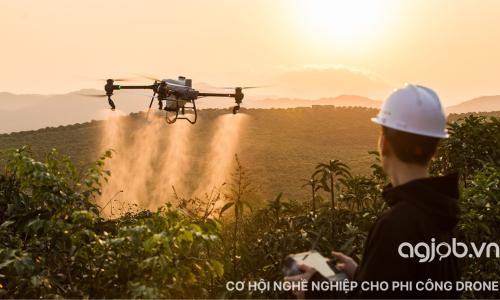 Khám phá cơ hội nghề nghiệp cho phi công máy bay không người lái