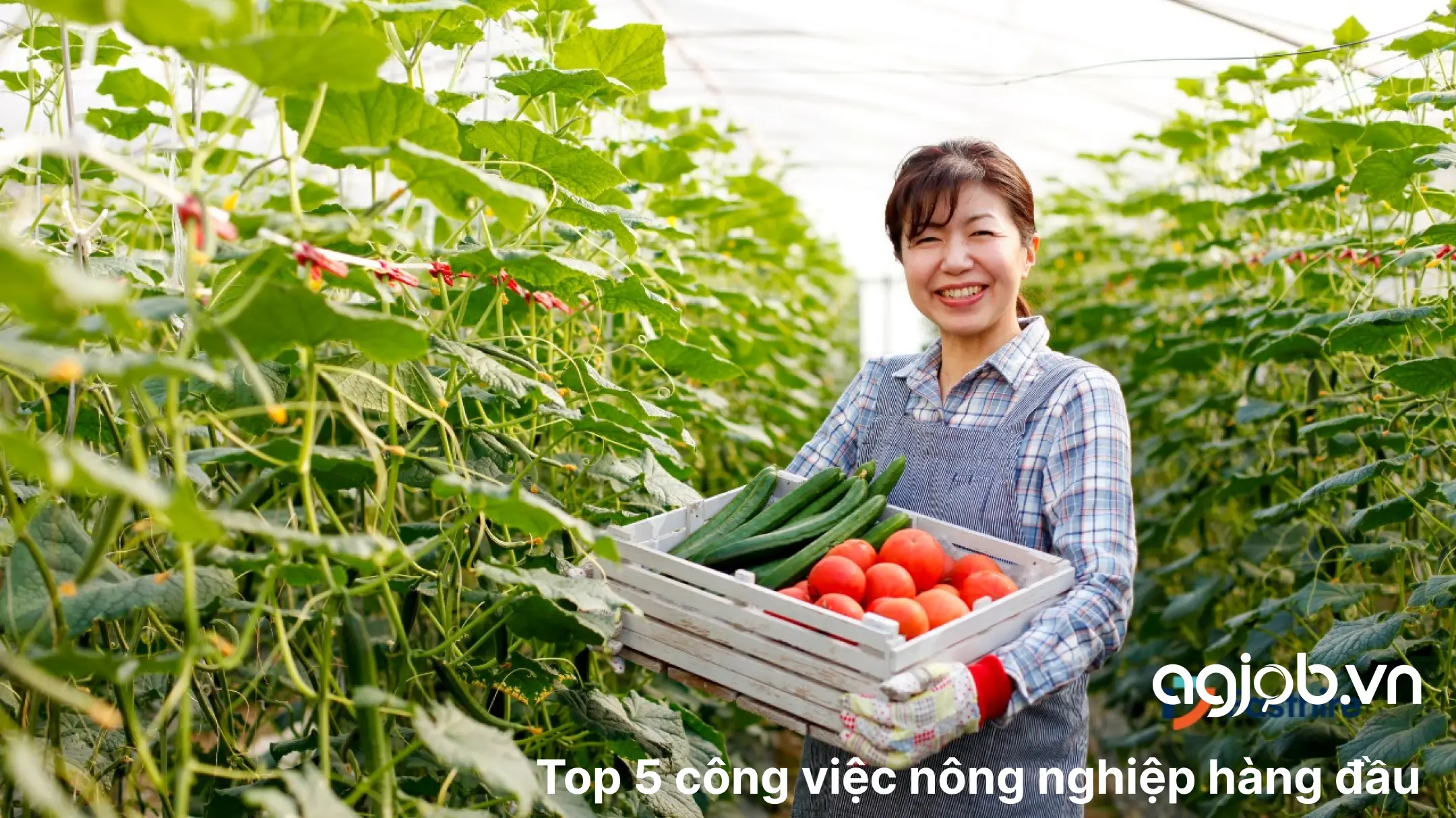 top 5 cong viec nong nghiep hang dau