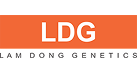 CÔNG TY TNHH GIỐNG CÂY TRỒNG LÂM ĐỒNG