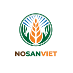 CTCP THƯƠNG MẠI SẢN XUẤT VÀ XUẤT NHẬP KHẨU NÔNG NGHIỆP XANH