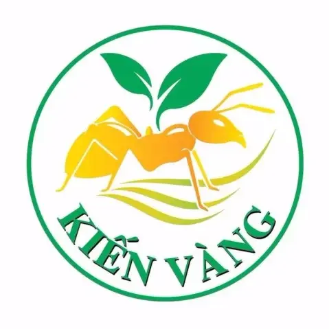 Công ty CP XNK Quốc Tế Kiến Vàng Thado tuyển dụng
