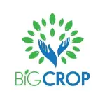 Công ty TNHH Big Crop tuyển dụng