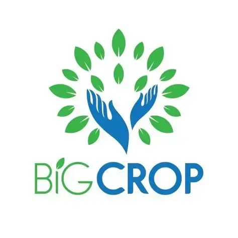 Công ty TNHH Big Crop tuyển dụng
