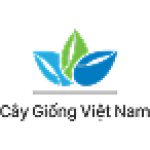 Công ty Cổ phần Công nghệ Sinh học Cây Giống Việt Nam