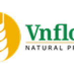 CÔNG TY TNHH VNFLOUR