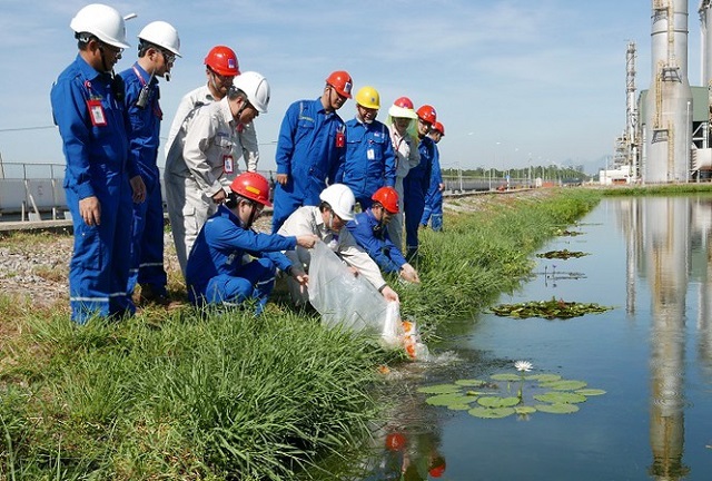 Có rất nhiều đơn vị cần đến sự hợp tác làm việc của người có chuyên môn về môi trường