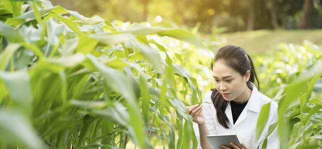 Kỹ sư nông nghiệp là những người trực tiếp ứng dụng khoa học vào trong ngành nông nghiệp